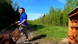 Pick your stick: New library in Riverview leaves dogs spoiled for choice News Clip