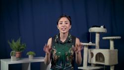 Expenses & Costs - How to Spend Money Wisely: Crash Course Entrepreneurship Instructional Video