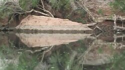 Mirrored reflection along Fitzroy River, Mornington Sanctuary Stock Footage