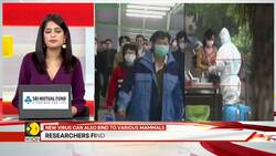 China's 'batwoman' finds deadly new coronavirus News Clip