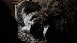 CLEAN : Albania: a village guards the last statue of Hoxha News Clip