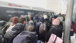 Ottawa digs out after massive snowstorm News Clip