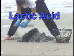 Understanding Muscle Burn and Anaerobic Respiration Instructional Video