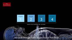 What happens when we sleep? Instructional Video