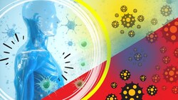 Four Ways Your Immune System Learns to Attack EVERYTHING! Instructional Video