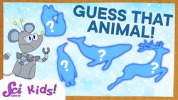 Guess That Animal: Winter Edition | SciShow Kids Compilation Instructional Video