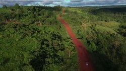 CLEAN : STOCKSHOTS: Brazilian Amazon deforestation surges News Clip