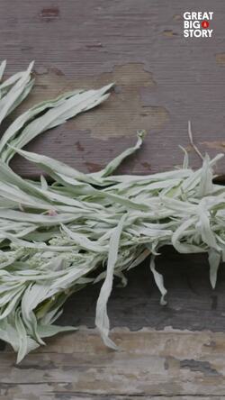 Reviving native American cuisine with The Sioux Chef Instructional Video