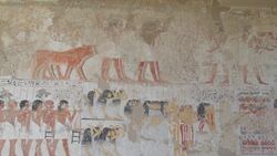 Egypt, Western Thebes, Tombs of Nobles - Tomb of Ramose - Hieroglyphs Stock Footage