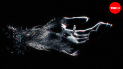 TED-Ed: The curse of the monkey's paw | Iseult Gillespie Instructional Video