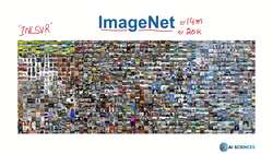 Data Science and Machine Learning (Theory and Projects) A to Z - Transfer Learning: ImageNet Challenge Instructional Video