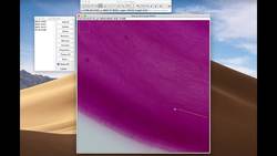 Plant Biologist Molly Edwards (Get to Know a Scientist!) Instructional Video