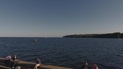 Poisonous Poland Instructional Video