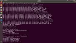 Docker - A Complete Hands-On Guide - Dockerfile Switching Users While Creating Image Instructional Video