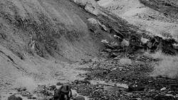 The Feud That Almost Destroyed Palentology Instructional Video