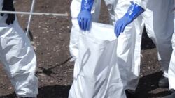 Farne Islands to see the Impact of a new deadly Variant of Bird Flu News Clip