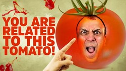 Are All Humans Related? The Science of Genetic Connection Instructional Video