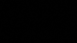 CLEAN : Regional leaders meet in Congo to discuss situation in Chad News Clip