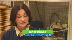 A One of a Kind Newborn Langer Is So Adorable! Instructional Video