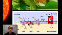 Coupled Reactions Instructional Video