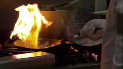 Understanding Harmful Bacteria: Causes, Prevention, and Effects Instructional Video