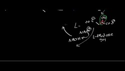 TCA Cycle 2 Instructional Video