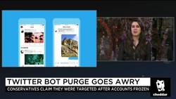 Why Did Twitter Secretly Purge Bots? News Clip