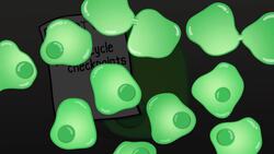 Stroll Through the Playlist (a Biology Review) Instructional Video