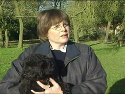 Calls for crackdown on people who want designer dogs News Clip