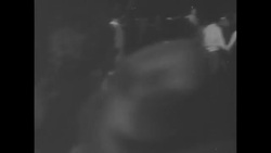 Evdokia Petrova being forced to return to Soviet Union News Clip