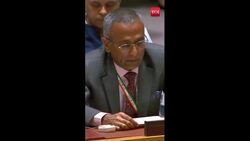 India Pushes For Immediate Gaza Ceasefire At UN As Israel Intensifies Attacks News Clip