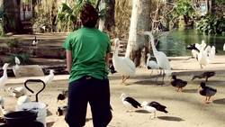 This Bird Can Actually Swallow a Fish Whole! Instructional Video