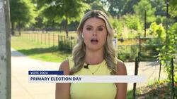 Casting your vote in today's Brooklyn primary races? Here's what you need to know. News Clip