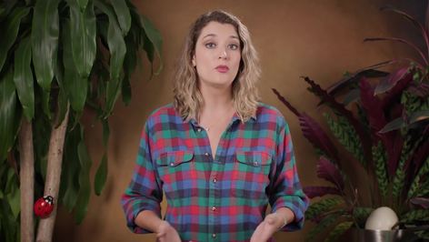 What is a “Developed” Country? Crash Course Geography