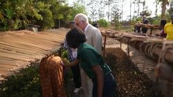 RWANDA: Prince of Wales visits the ARCOS agroforestry site. News Clip