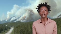 Consequences of Human Activity on Earth Instructional Video