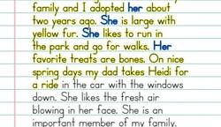 Pronouns Produce Interesting Paragraphs Instructional Video