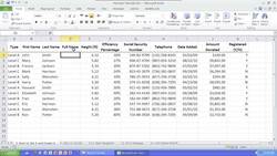 How to "Set It & Forget It" in Microsoft Excel Instructional Video