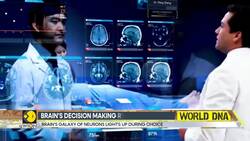 New study redraws Brain's blueprint, Brain's decision-making region identified News Clip