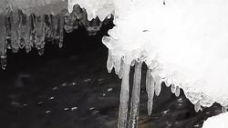 Properties Of Water: Unique properties of water Instructional Video