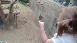 Everland South Korea Theme Park Day Trip - Food, Family & Pandas Vlog Instructional Video