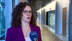 MEPs will vote on banning 'golden passports' to hurt Putin allies News Clip