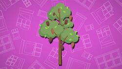 I WONDER - Where Does Chocolate Come From? Instructional Video