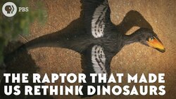 The Raptor That Made Us Rethink Dinosaurs Instructional Video