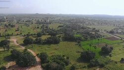 Indian Hills with Fields and Forest Stock Footage
