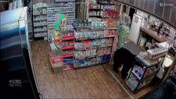 #TheMoment a bear stole gummy bears from a gas station News Clip