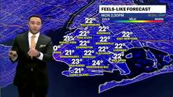 BITTER BLAST: Frigid temperatures for Monday; tracking overnight snow showers for Brooklyn News Clip