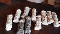 CLEAN : Private protection: Croatian codpiece is hit with tourists News Clip