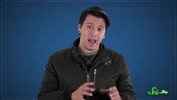 Kleptopredation Natural Turduckens Instructional Video