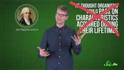 Common Misconceptions About Evolution Instructional Video